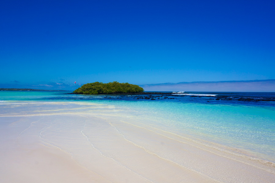 Grand bilan des&nbsp;Amériques