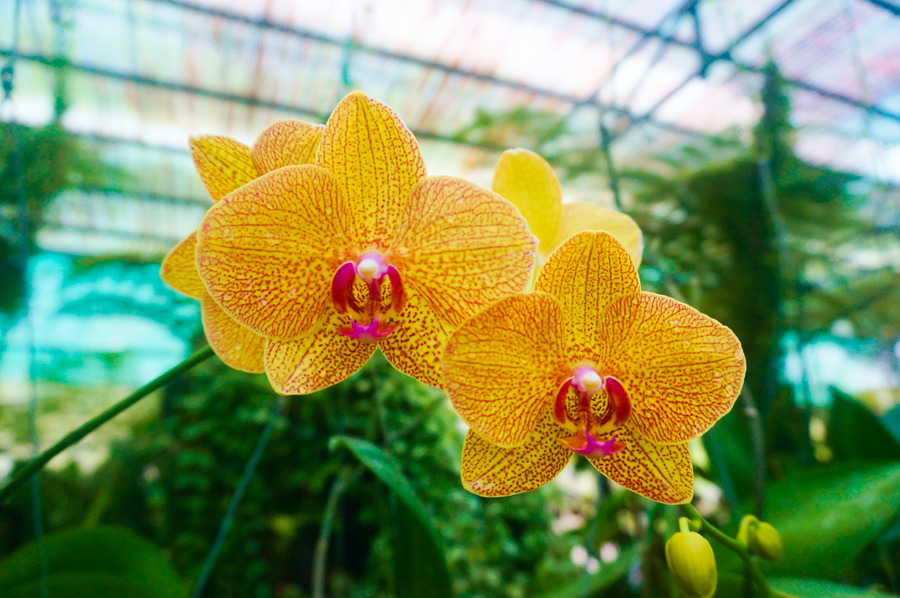 Une année de vadrouille : le grand&nbsp;bilan!