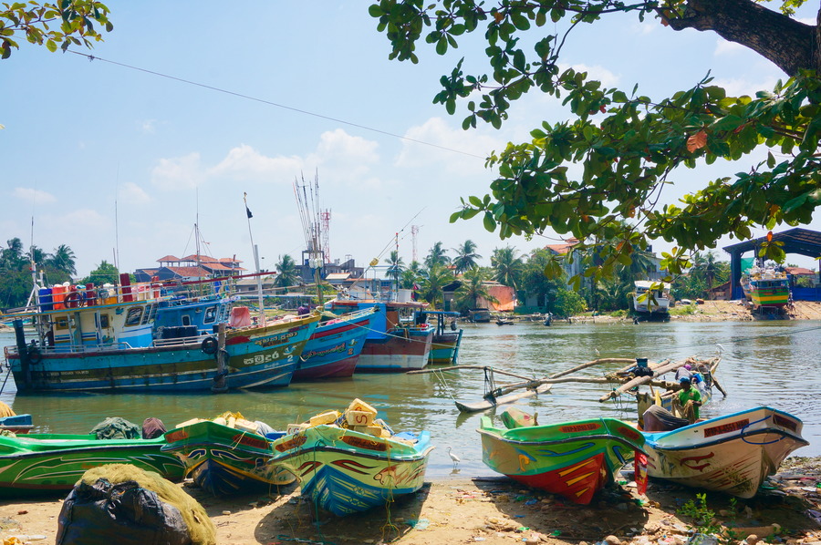 Negombo & Kandy, nos premières impressions sri&nbsp;lankaises