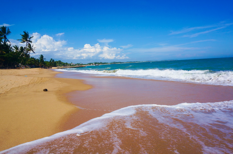 Découverte des Plages du Sud du Sri&nbsp;Lanka