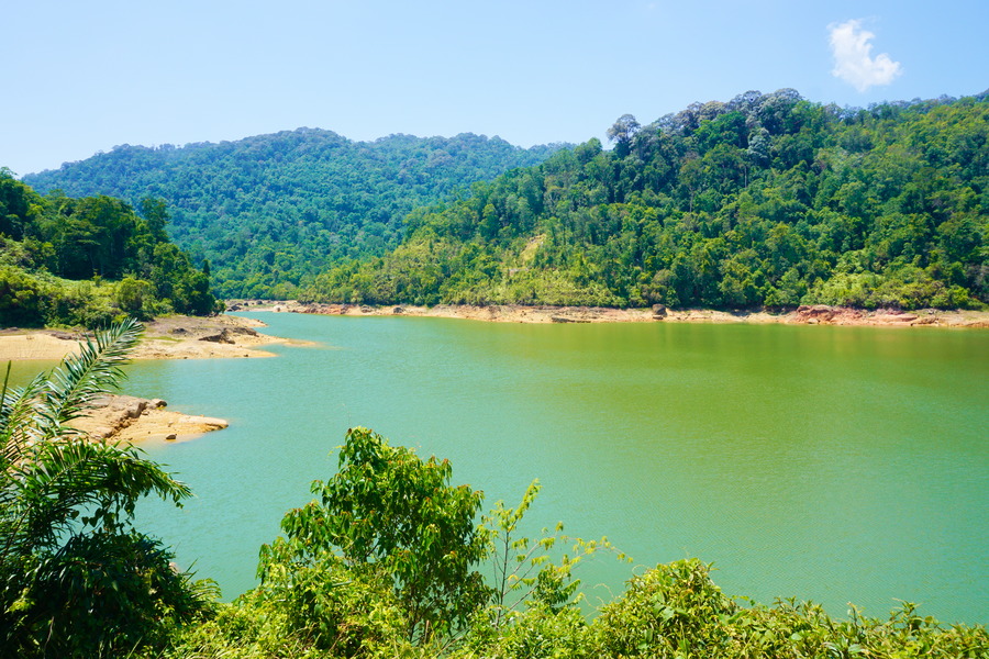 Van et Fab en total&nbsp;lockdown